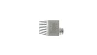 Thumbnail - Intercooler, inlaatluchtkoeler - CI193000P - MAHLE