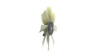Thumbnail - Koelventilatorwiel - CFF441000P - MAHLE