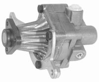 Hydraulikpumpe, Lenkung