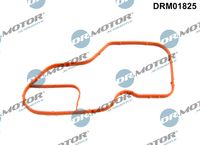 Gasket, thermostat housing