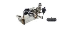 Thumbnail - Koeler, uitlaatterugvoering - CE10000P - MAHLE
