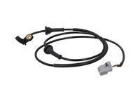 Sensor, Raddrehzahl Sensor, Raddrehzahl