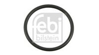 Dichtring, Achsschenkel