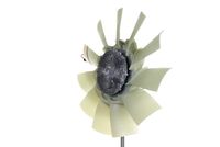 Thumbnail - Koelventilatorwiel - CFF482000P - MAHLE