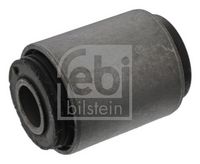Mounting, control/trailing arm