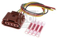 Stecker
