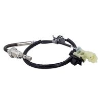 Sensor, Abgastemperatur
