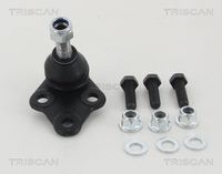 Trag-/Führungsgelenk