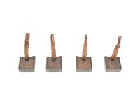 Carbon Brush, starter