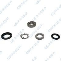 Set rulment roata GSP, Cod: GKX0075