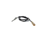 Sensor, Abgastemperatur
