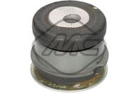 тампони на моста