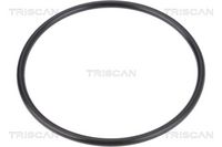 Inel de etanșare, filtru ulei TRISCAN, Cod: 8900 11733