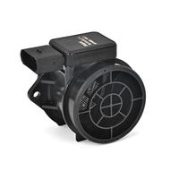 DELPHI Luchtmassameter 6