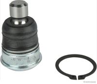 Trag-/Führungsgelenk