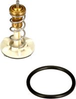 Thermostat, Kühlmittel