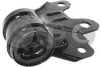 тампон, носач