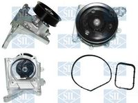 Wasserpumpe, Motorkühlung