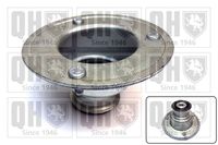 Federbeinstützlager