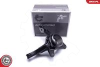 Steering Knuckle, wheel suspension