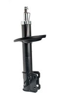 Amortizor DR!VE+, Cod: DP1610.10.0157