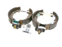 BOSCH Remschoenset 6