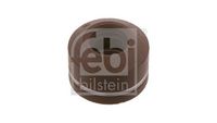 Dichtring, Ventilschaft