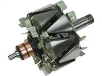Rotor, alternator