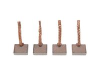 Carbon Brush, starter