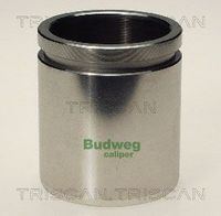 Kolben, Bremssattel