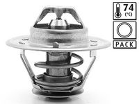 Thermostat, Kühlmittel