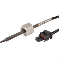 Sensor, Abgastemperatur