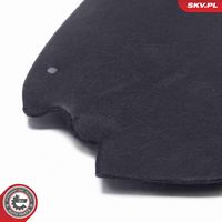 Article Picture