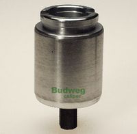 Kolben, Bremssattel