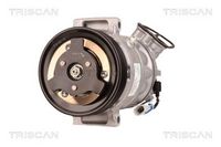 Compresor, climatizare TRISCAN, Cod: 9020 24022