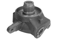 Steering Knuckle, wheel suspension