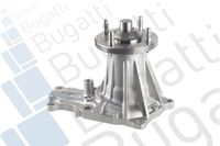 Wasserpumpe, Motorkühlung