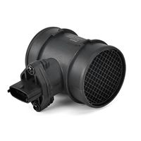 DELPHI Luchtmassameter 5