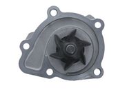 Wasserpumpe, Motorkühlung