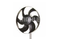 Thumbnail - Koelventilatorwiel - CFF302000P - MAHLE