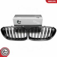 Radiator Grille