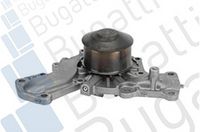 Wasserpumpe, Motorkühlung