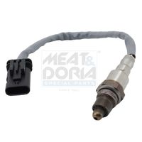 ламбда-сонда