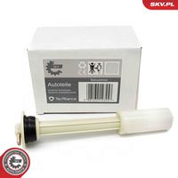 Sensor, coolant level