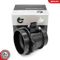 Mass Air Flow Sensor