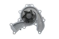 Wasserpumpe, Motorkühlung