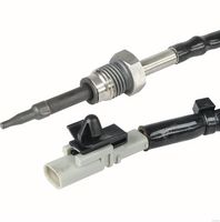 Sensor, Abgastemperatur