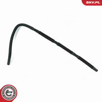 Article Picture