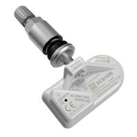 Radsensor, Reifendruck-Kontrollsystem