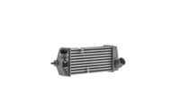 Thumbnail - Intercooler, inlaatluchtkoeler - CI693000S - MAHLE
